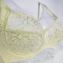 Load image into Gallery viewer, Lager Bosom Lace Perspective Bra For Womens Sexy Lingerie